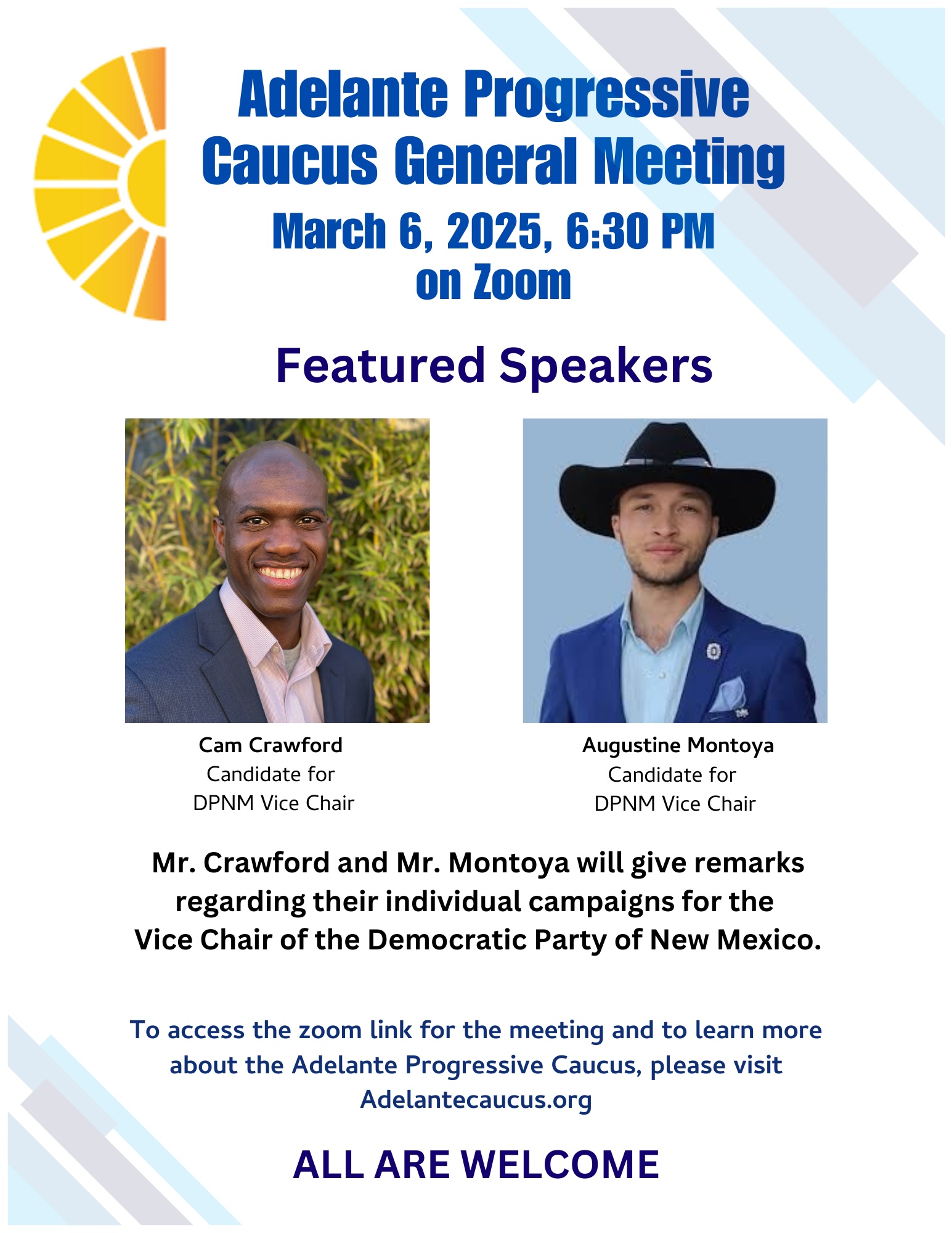 Vice Chair Candidates Forum