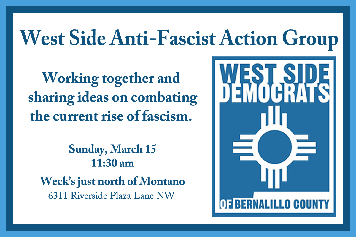 WSD Anti-Fascist Action Group